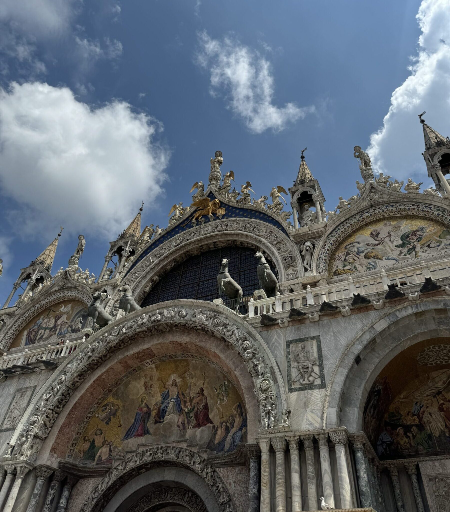Photo by Michael Guesev. Venice 2024