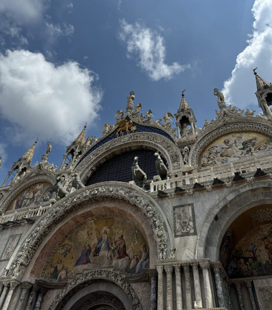 Photo by Michael Guesev. Venice 2024